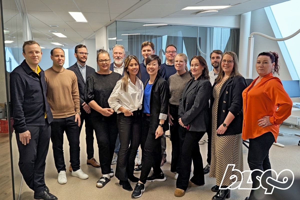 Bisqo_OmOss_ITkonsulter