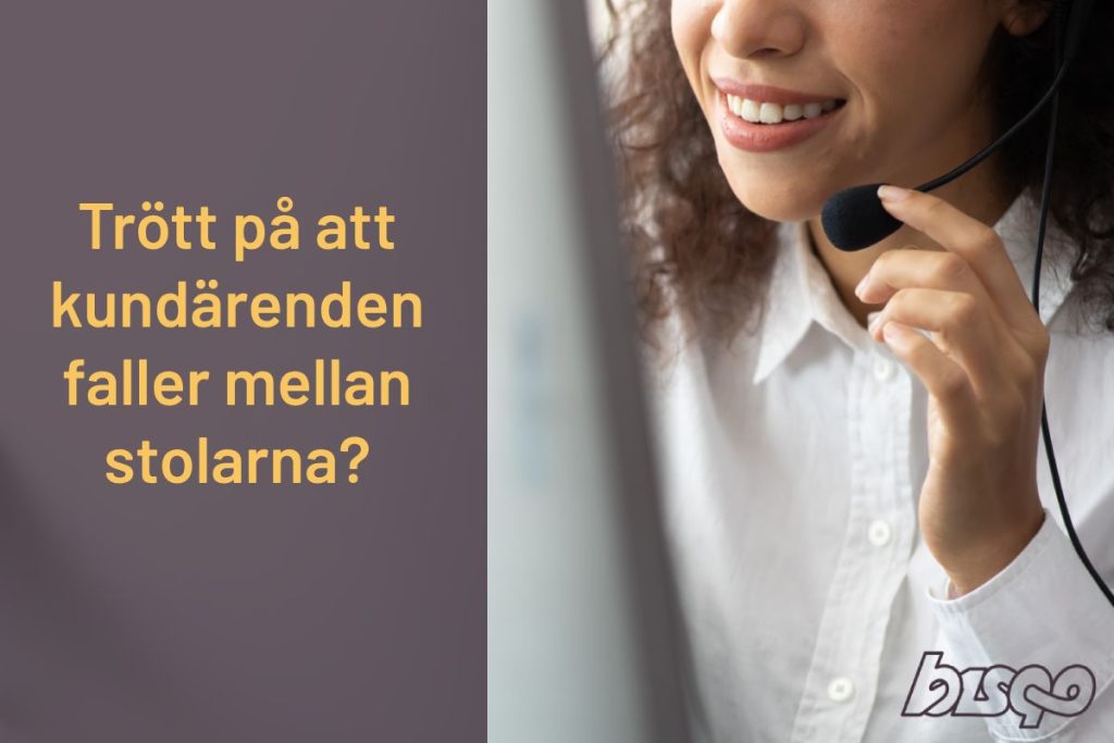 Bisqo Dynamics 365 Customer Service