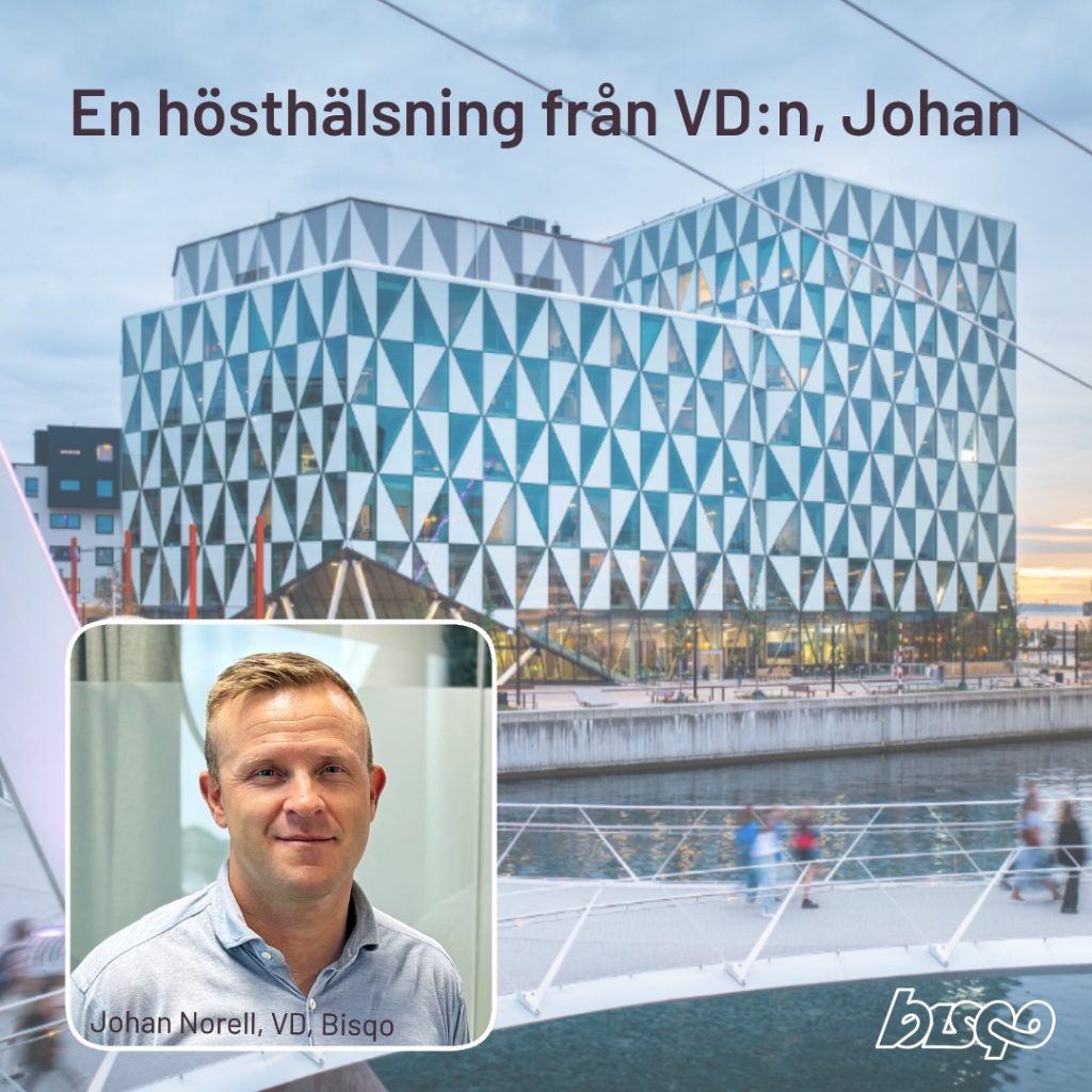 Johan Norell_VD_Bisqo