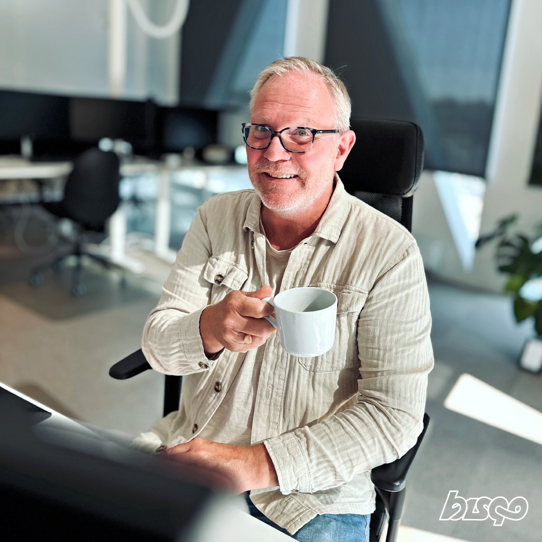 Anders-Fridell-Bisqo-ERP-konsult-senior-1